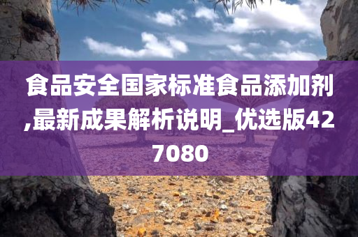 食品安全国家标准食品添加剂,最新成果解析说明_优选版427080