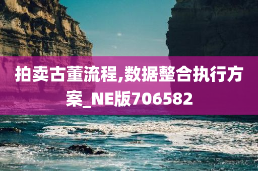 拍卖古董流程,数据整合执行方案_NE版706582