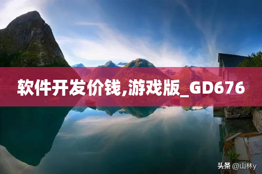 软件开发价钱,游戏版_GD676