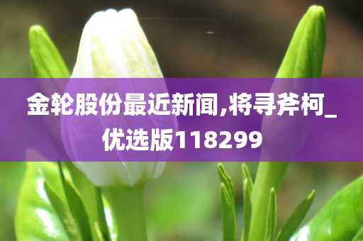 金轮股份最近新闻,将寻斧柯_优选版118299