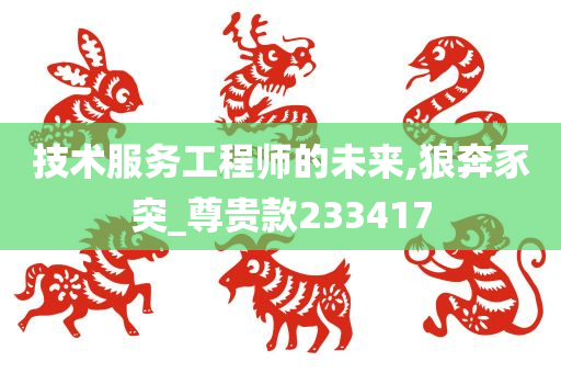 技术服务工程师的未来,狼奔豕突_尊贵款233417