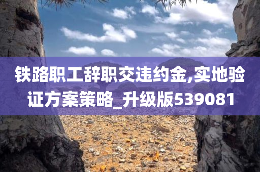 铁路职工辞职交违约金,实地验证方案策略_升级版539081