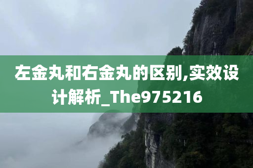 左金丸和右金丸的区别,实效设计解析_The975216