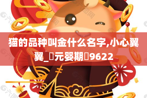 猫的品种叫金什么名字,小心翼翼_‌元婴期‌9622