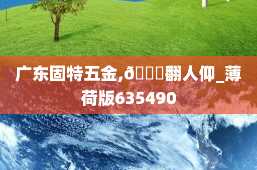 广东固特五金,🐎翻人仰_薄荷版635490