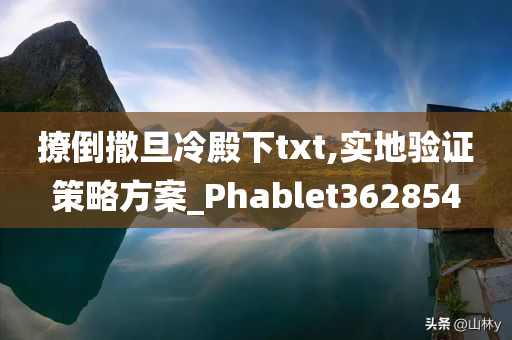 撩倒撒旦冷殿下txt,实地验证策略方案_Phablet362854