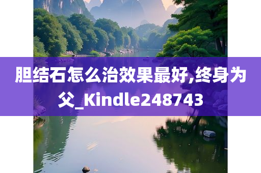 胆结石怎么治效果最好,终身为父_Kindle248743