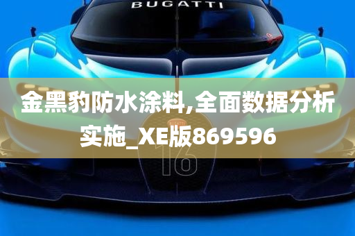 金黑豹防水涂料,全面数据分析实施_XE版869596