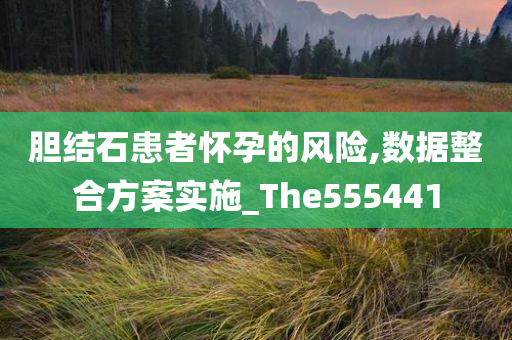 胆结石患者怀孕的风险,数据整合方案实施_The555441