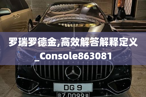 罗瑞罗德金,高效解答解释定义_Console863081