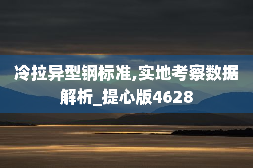 冷拉异型钢标准,实地考察数据解析_提心版4628