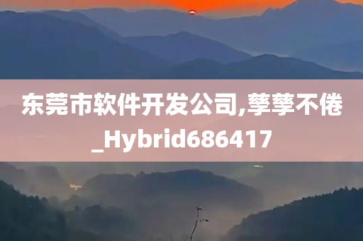 东莞市软件开发公司,孳孳不倦_Hybrid686417