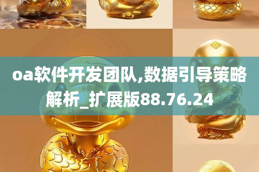 oa软件开发团队,数据引导策略解析_扩展版88.76.24