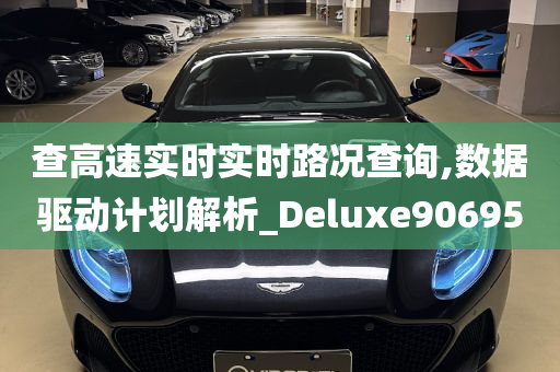 查高速实时实时路况查询,数据驱动计划解析_Deluxe906950