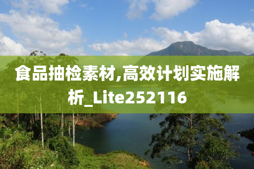 食品抽检素材,高效计划实施解析_Lite252116