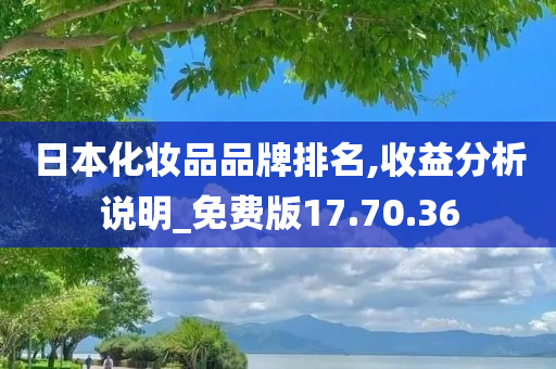 日本化妆品品牌排名,收益分析说明_免费版17.70.36