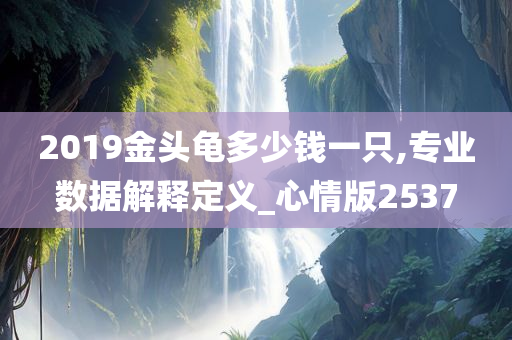 2019金头龟多少钱一只,专业数据解释定义_心情版2537