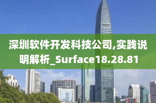 深圳软件开发科技公司,实践说明解析_Surface18.28.81