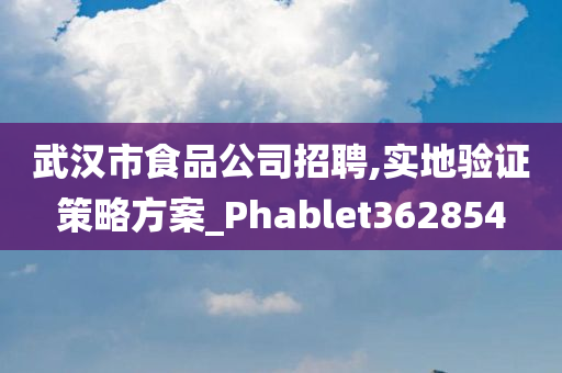 武汉市食品公司招聘,实地验证策略方案_Phablet362854