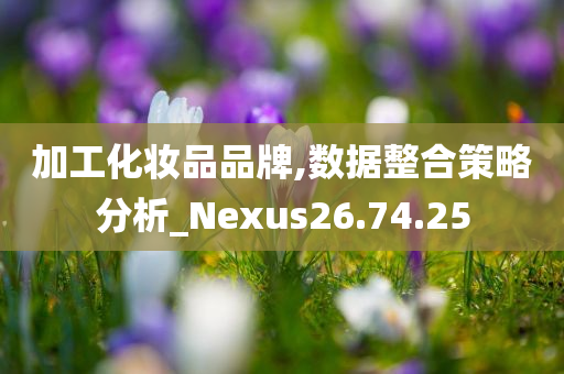 加工化妆品品牌,数据整合策略分析_Nexus26.74.25