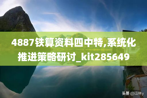 4887铁算资料四中特,系统化推进策略研讨_kit285649