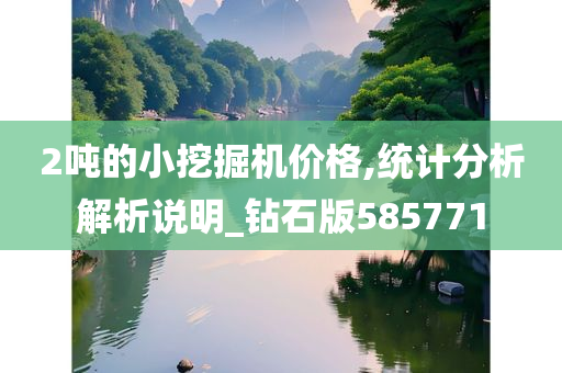 2吨的小挖掘机价格,统计分析解析说明_钻石版585771