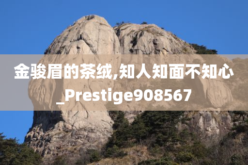 金骏眉的茶绒,知人知面不知心_Prestige908567