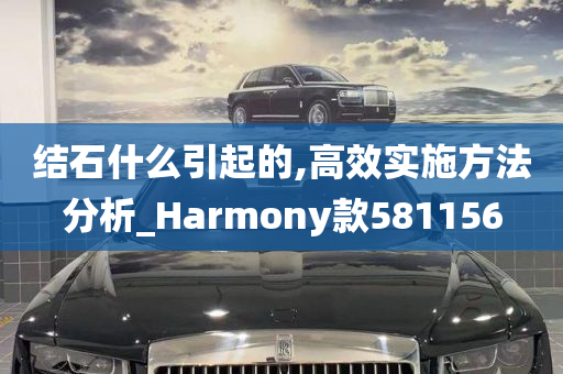 结石什么引起的,高效实施方法分析_Harmony款581156