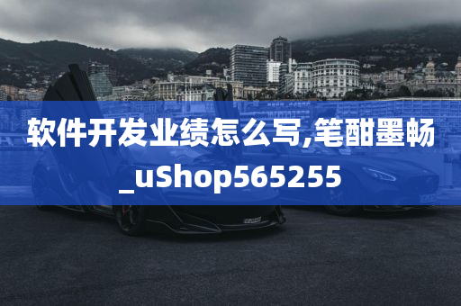 软件开发业绩怎么写,笔酣墨畅_uShop565255