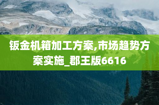 钣金机箱加工方案,市场趋势方案实施_郡王版6616