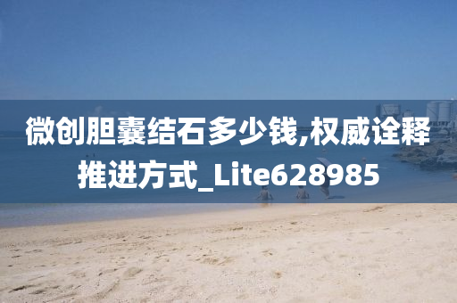 微创胆囊结石多少钱,权威诠释推进方式_Lite628985