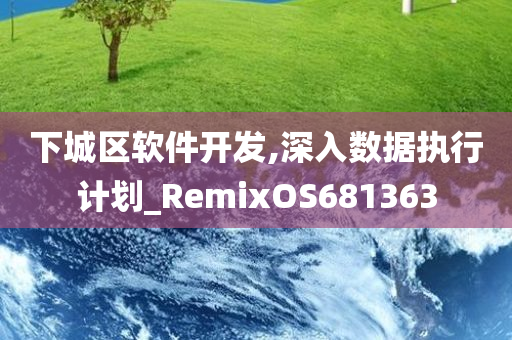 下城区软件开发,深入数据执行计划_RemixOS681363