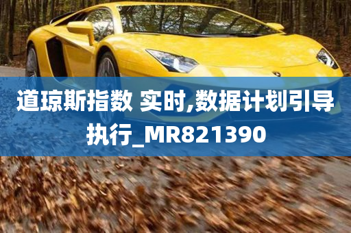 道琼斯指数 实时,数据计划引导执行_MR821390