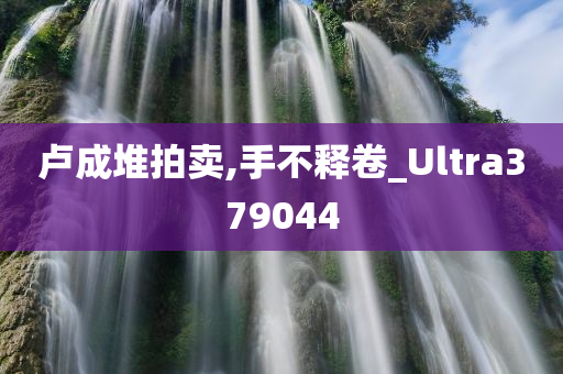 卢成堆拍卖,手不释卷_Ultra379044