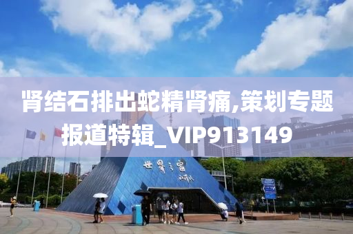 肾结石排出蛇精肾痛,策划专题报道特辑_VIP913149