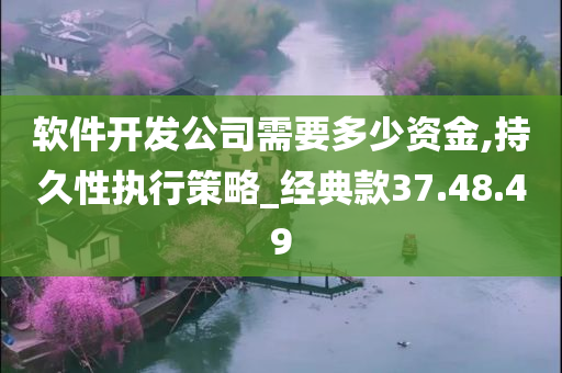 软件开发公司需要多少资金,持久性执行策略_经典款37.48.49