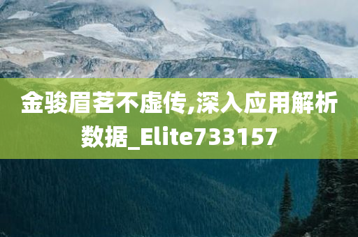 金骏眉茗不虚传,深入应用解析数据_Elite733157