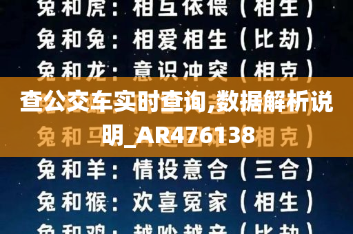 查公交车实时查询,数据解析说明_AR476138