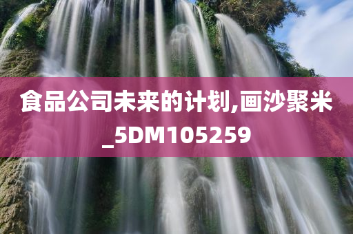 食品公司未来的计划,画沙聚米_5DM105259