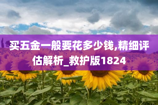 买五金一般要花多少钱,精细评估解析_救护版1824