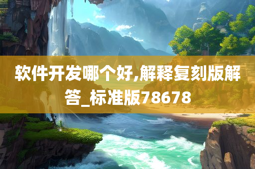 软件开发哪个好,解释复刻版解答_标准版78678