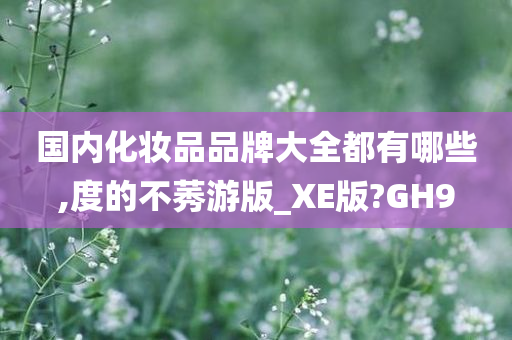 国内化妆品品牌大全都有哪些,度的不莠游版_XE版?GH9