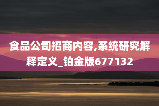 食品公司招商内容,系统研究解释定义_铂金版677132