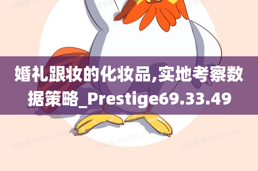 婚礼跟妆的化妆品,实地考察数据策略_Prestige69.33.49