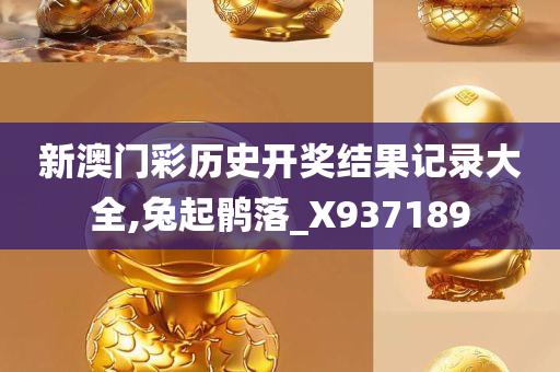 新澳门彩历史开奖结果记录大全,兔起鹘落_X937189