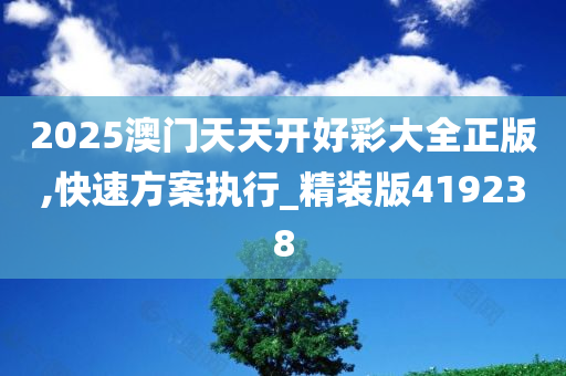 2025澳门天天开好彩大全正版,快速方案执行_精装版419238