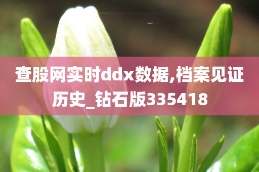 查股网实时ddx数据,档案见证历史_钻石版335418