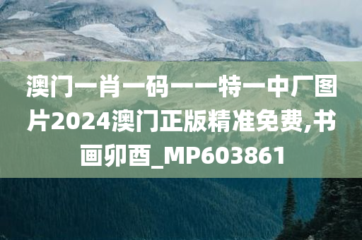 澳门一肖一码一一特一中厂图片2024澳门正版精准免费,书画卯酉_MP603861