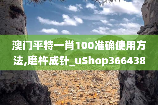 澳门平特一肖100准确使用方法,磨杵成针_uShop366438