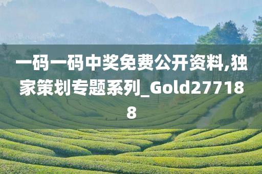 一码一码中奖免费公开资料,独家策划专题系列_Gold277188